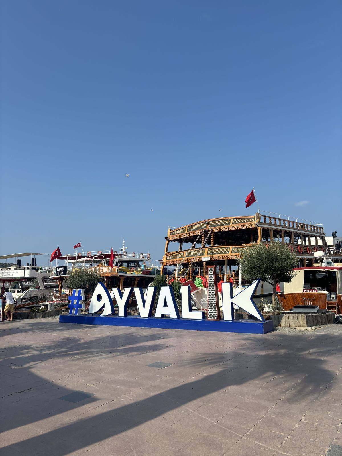Tur Resmi
